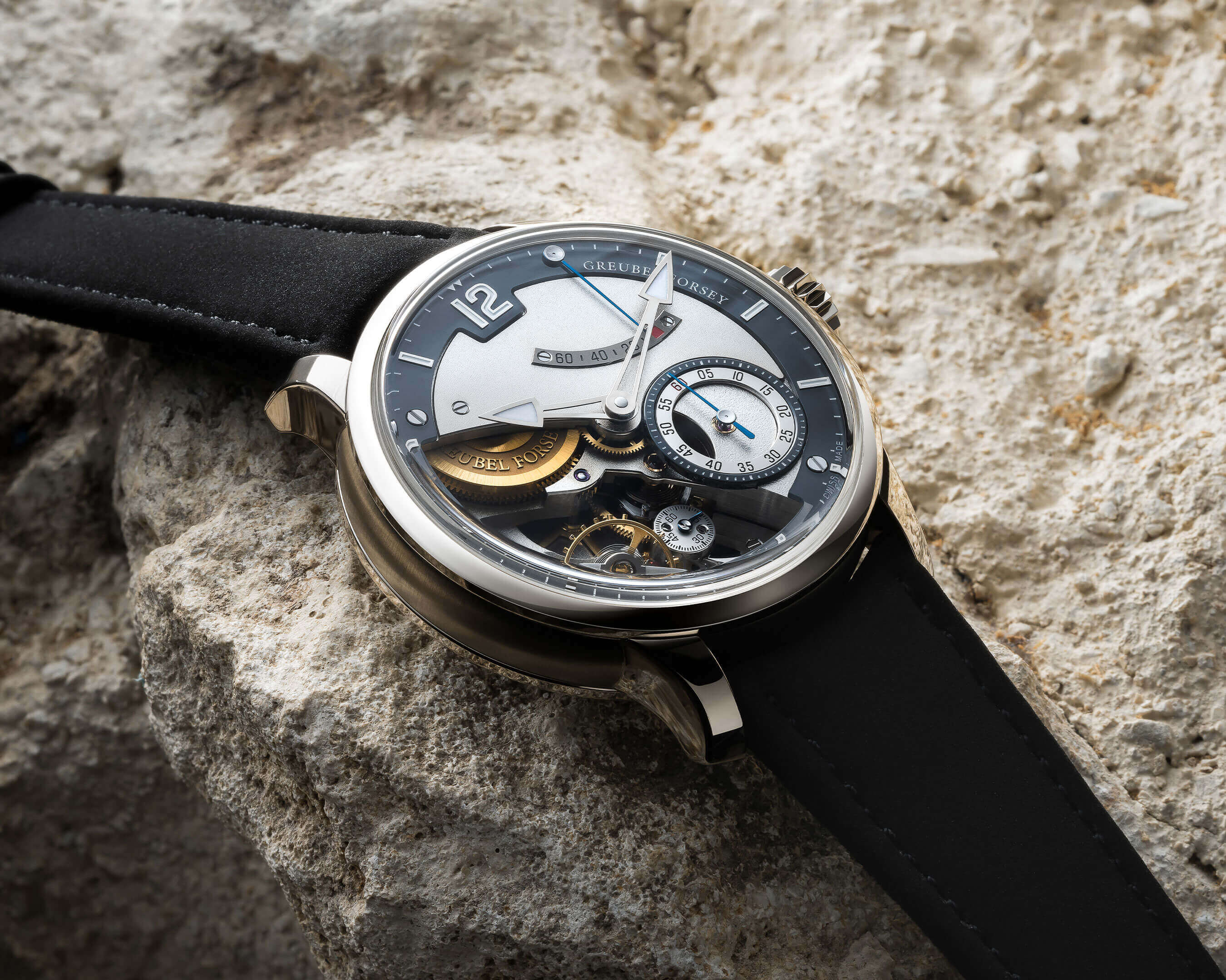 Différentiel d'Égalité - Greubel Forsey